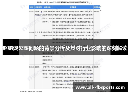 赵鹏谈欠薪问题的背景分析及其对行业影响的深刻解读