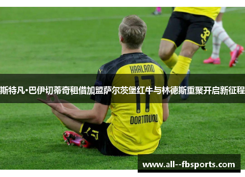 斯特凡·巴伊切蒂奇租借加盟萨尔茨堡红牛与林德斯重聚开启新征程 斯特凡·巴伊切蒂奇租借加盟萨尔茨堡红牛与林德斯重聚开启新征程