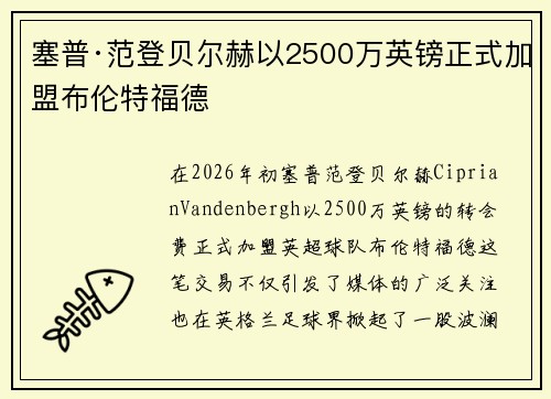 塞普·范登贝尔赫以2500万英镑正式加盟布伦特福德