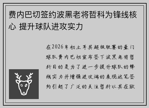 费内巴切签约波黑老将哲科为锋线核心 提升球队进攻实力 费内巴切签约波黑老将哲科为锋线核心 提升球队进攻实力